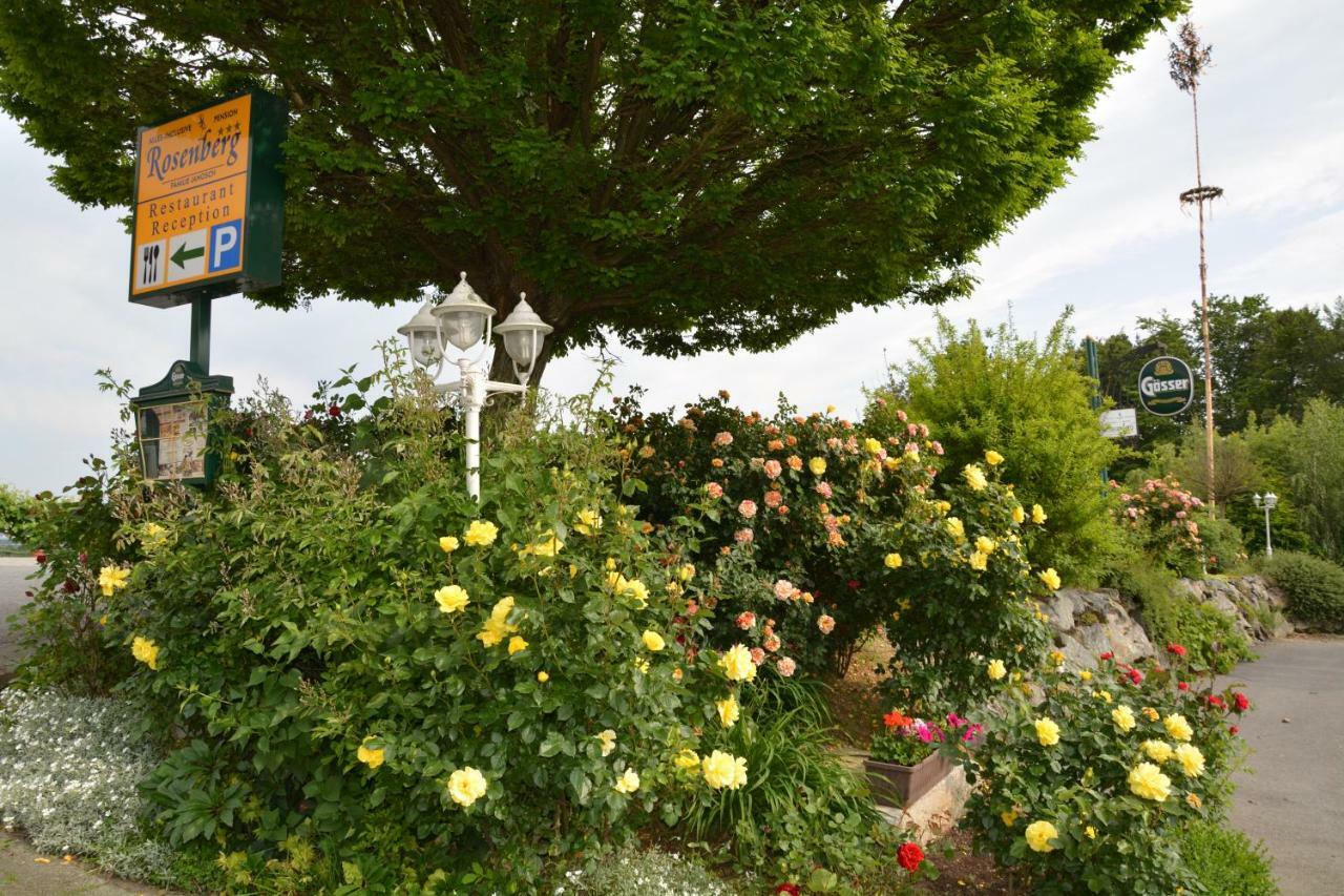 Pension Restaurant Rosenberg Gyanafalva Kültér fotó