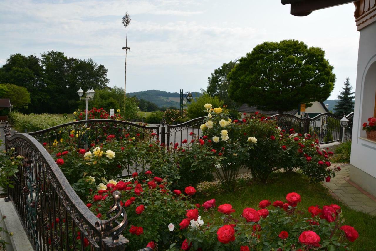 Pension Restaurant Rosenberg Gyanafalva Kültér fotó